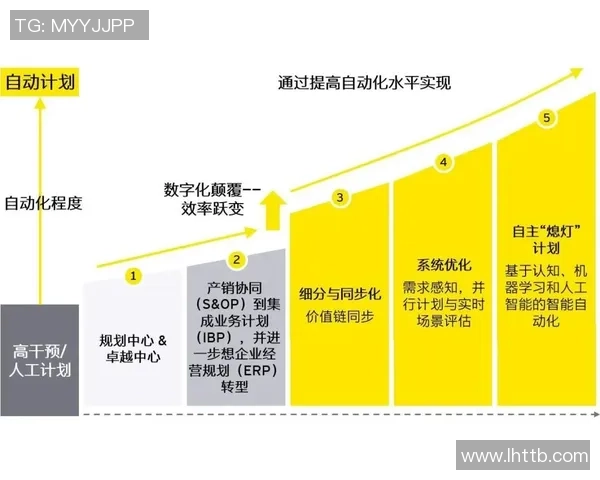 南京篮球队转型之路的挑战与机遇全景分析精英赛特别报道