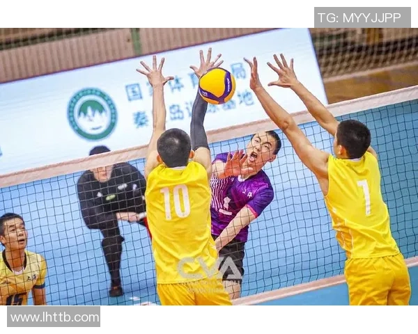 上海排球队勇夺最新排球耐力排行榜第一名引领风骚